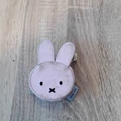 Sleutels Rose Nijntje, zoals gemeld door EBS Tramplein met iLost