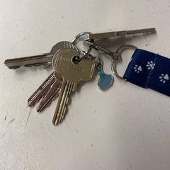 Sleutels, segundo informou GVB usando iLost