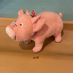 Knuffel, som rapportert av Familie Resort Molenwaard ved bruk av iLost