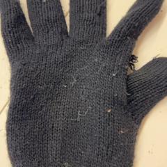 Guant, segons ha informat GVB mitjançant iLost