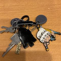 Nøkkelring, som rapportert av Gemeente Amsterdam - Bureau Gevonden Voorwerpen ved bruk av iLost