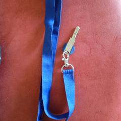 Sleutel met blauw keycord がiLostに報告されました