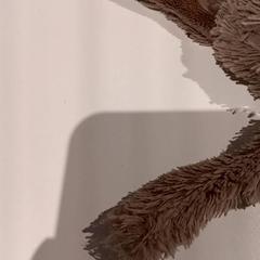 كنوفل، كما تم الإبلاغ عنه بواسطة De Efteling عبر iLost