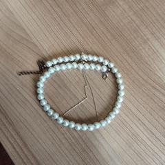 Ketting, segons ha informat Arriva West-Brabant mitjançant iLost