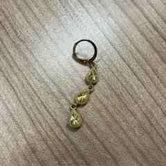 Earring, as reported by ACTA using iLost