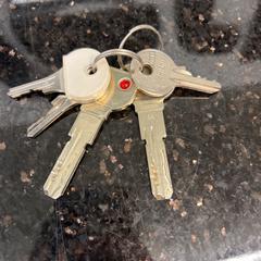 Keys, as reported by Hertz using iLost