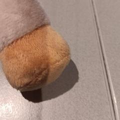 Peluche, come riportato da De Efteling utilizzando iLost
