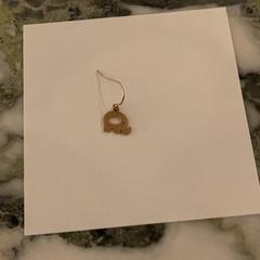 Earring, as reported by Van der Valk Hotel Heerlen using iLost