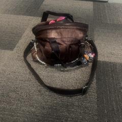 Väska Bruin, rapporterat av Jaarbeurs med iLost