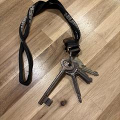 Sleutelbos, ha sido reportado a iLost