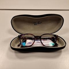 Brillenetui mit brille, gemeldet von Vrije Universiteit Amsterdam über iLost