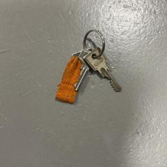 Klíč, jak nahlášeno Fenix pomocí iLost