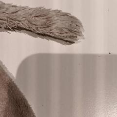 Peluche, ha sido reportado por De Efteling con iLost