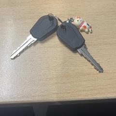 Claus de bicicleta met katje sleutelhanger, segons ha informat Pathé Amsterdam Noord mitjançant iLost