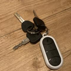 Sleutelbos, iLost-i jakinarazi zaion moduan