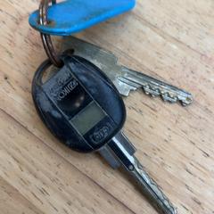 المفاتيح، كما تم الإبلاغ عنه بواسطة Gemeente Wageningen عبر iLost