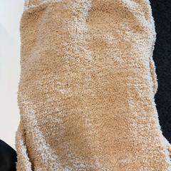 Xal Teddy Zandkleurig, segons ha informat TheaterHangaar mitjançant iLost