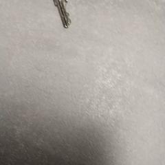 열쇠 Zilver, iLost를 사용하여 Arriva Friesland / Groningen에 보고됨