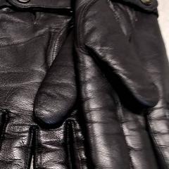 Gants Zwart, a été signalé par Arriva Friesland / Groningen utilisant iLost