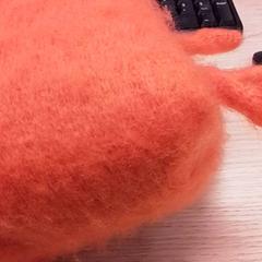 ショール Oranje がiLostで Qbuzz Fryslân によって報告されました