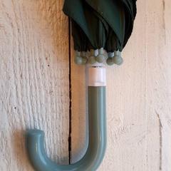 Paraply Groen, som rapportert av DierenPark Amersfoort ved bruk av iLost