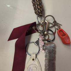 Sleutels, iLost를 사용하여 GVB에 보고됨