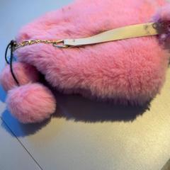 Bag, as reported by Madurodam using iLost