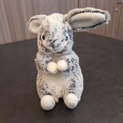 Knuffel, as reported by Rotterdam The Hague Airport using iLost