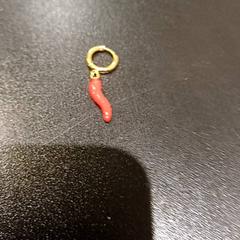 Fülbevaló, amint azt Padualaan 97 az iLost segítségével jelentette.