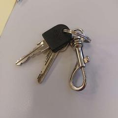 İLost kullanarak Vrije Universiteit Amsterdam tarafından bildirildiği gibi Anahtarlar Zwart