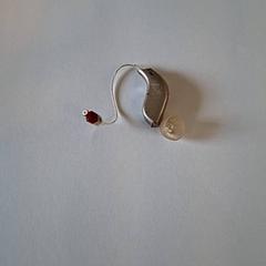 補聴器 & イヤリング がiLostで Keukenhof によって報告されました