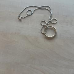 Collier, a été signalé par Blauwnet Zwolle utilisant iLost