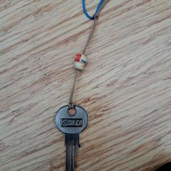 المفاتيح (متنوعة)، كما تم الإبلاغ عنه بواسطة Gemeente Zeist عبر iLost