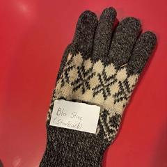 Rukavice, jak nahlášeno Fjord Line - Stavanger pomocí iLost