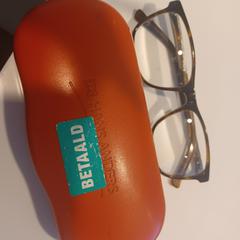 Brillenkok, segons ha informat RAI Amsterdam mitjançant iLost