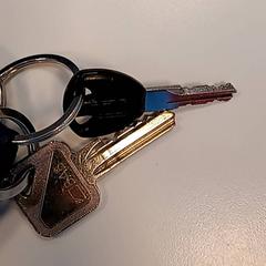 Sleutelbos, zoals gemeld door Syntus Provincie Utrecht met iLost