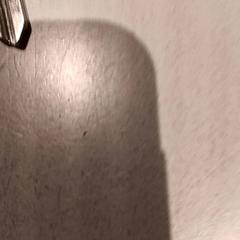 Clau, segons ha informat De Efteling mitjançant iLost