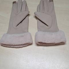 Hansker, som rapportert av Arriva Oost-Brabant ved bruk av iLost