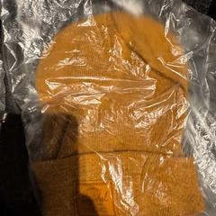 Muts bruin, zoals gemeld door Hotel Van der Valk Harderwijk op de Veluwe met iLost