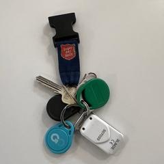 Sleutelbos Tags en LdH sleutelhanger, zoals gemeld door Gemeente Ede met iLost