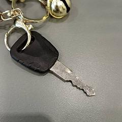 Llave, ha sido reportado por Qbuzz GD Groningen HS con iLost