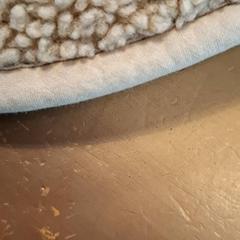 Skötbädd, rapporterat av Avonturenboerderij Molenwaard med iLost