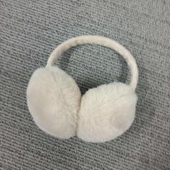 Orejeras, segundo informou Arriva West-Brabant usando iLost