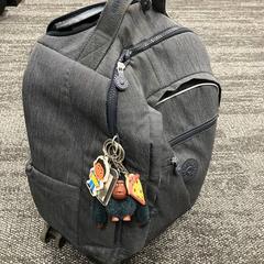 Backpack Kipling Rugtas, as reported by Gemeente Rijswijk using iLost