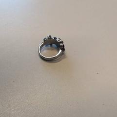 الخاتم، كما تم الإبلاغ عنه بواسطة Qbuzz ZHN عبر iLost