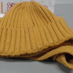 Myš Muts, jak nahlášeno Gemeente Utrecht pomocí iLost