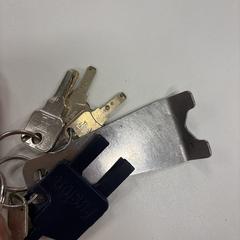 Sleutelbos, jak zgłoszono do iLost