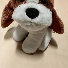 Knuffel, som rapportert av IKEA Zwolle ved bruk av iLost