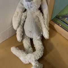 Cuddly rabbit Met de naam Niek in zijn oor, as reported by Familie Resort Molenwaard using iLost