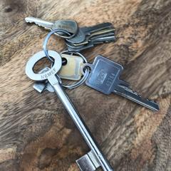 Sleutelbos, iLost에 보고됨